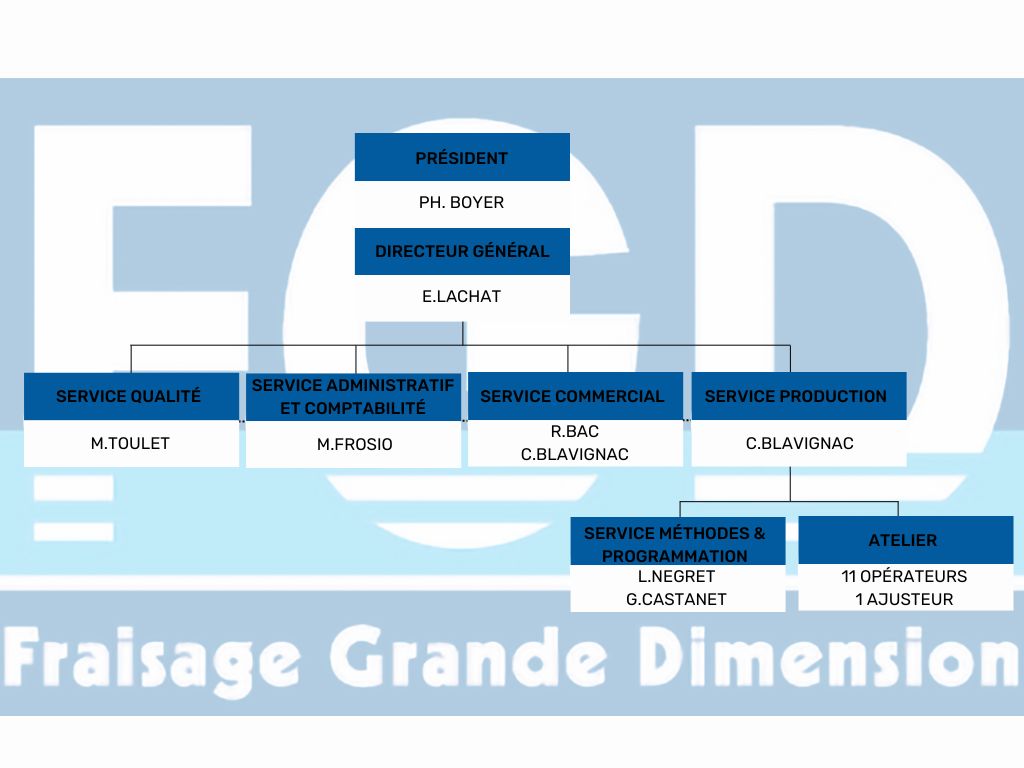 FGD_organigramme