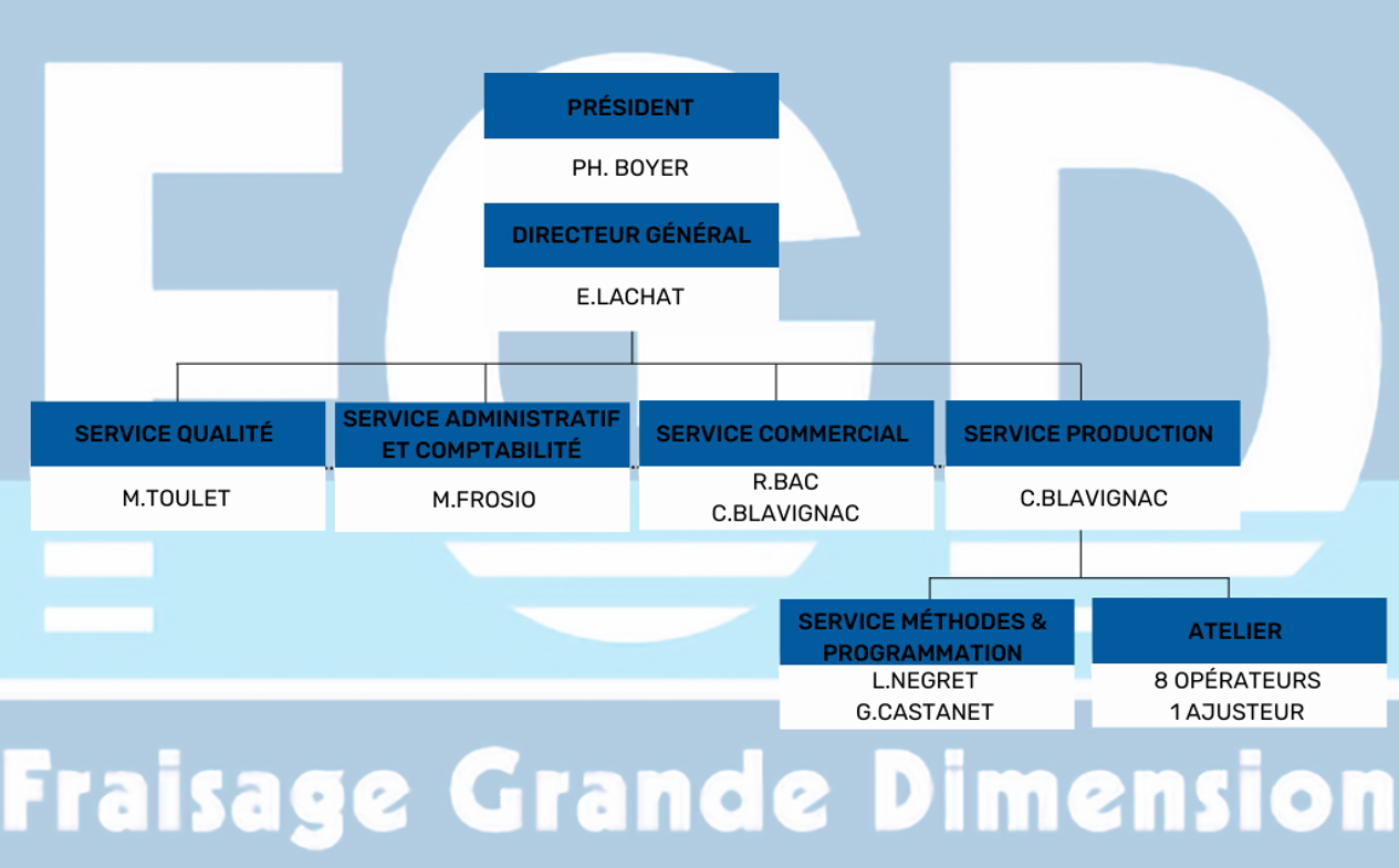 FGD_organigramme